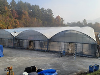 농장(재배동) 하우스 1중 비닐교체 작업(1..