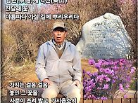 진달래 꽃