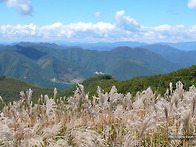 제61차 산행 - 정선 민둥..