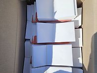 2025.정기연주회