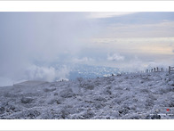 제주도의 겨울1