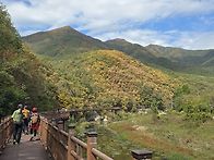 충북 영동 월류봉♡ 반야사