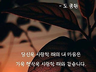 2025-11-가을 사랑-도종환