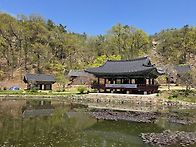 봄 여행(1박2일)