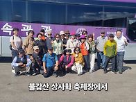 불갑산상사화축제26,9 2..