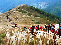 11월 정기산행 안..