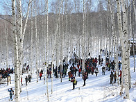 1월 정기산행 안내..