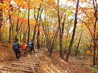 11월 16일 일요산..