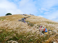 11월 9일 일요산행..