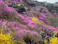 중국 산행·여행 ..