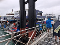 phuket(25.11)