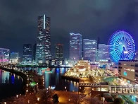 Blue Light Yokoham..