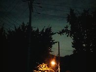 수은등 하모니카