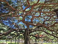 촛불기도 발원 올려드렸습..