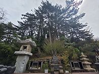 제주 기도다녀왔습니다 (..