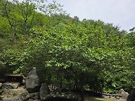 지리산 산신 기도