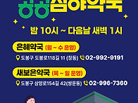 도봉구 '공공심야약국'
