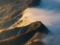 죽어버린 혼돈(混沌)