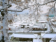 송학 직격탄 《양심 사형!..
