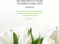 &ldquo;패시란!&rdquo; - &ldquo;Pass ..