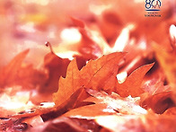 한경직 목사와 이승만 정권