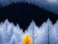 질문이 열어주는 문