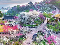 광주 사태를 5. 18 언어로..