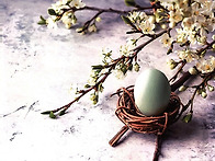 또각또각 한 걸음씩, 멈춤..