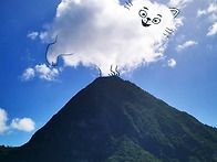 할머니와 아몬드