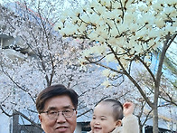 할배와 손주 벗꽃 구경