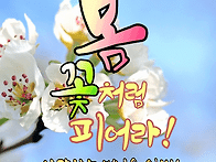 손녀의 수수 께끼