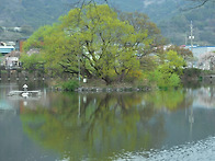 연습