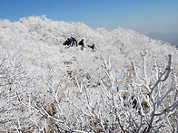 설경사진
