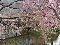 연습
