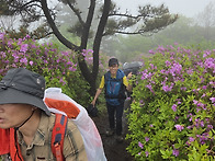 일림산 산행