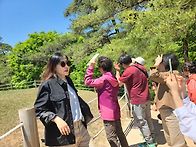 단종의 왕릉(장릉)