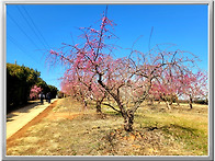해남 보해농원과 문가든은..