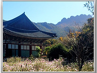 고흥 팔영산 능가사에서 ..