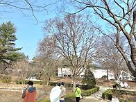 광릉수목원 소요