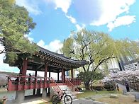 강 따라 봄의 품속으로