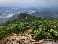 관악산 우중산행