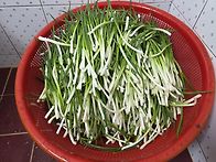 파김치 담았네요~