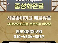 입양가정구함 바우