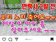 7호 노리임보