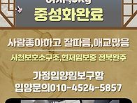 입양처구함 별이
