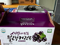 커런트완판 ,