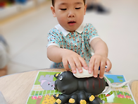 5월 28일 수요일 - 동물놀..