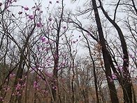 만촌알프스 소식