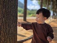 메타세콰이어길㇫