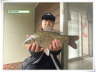 가을 연휴 조황, 용인 송..